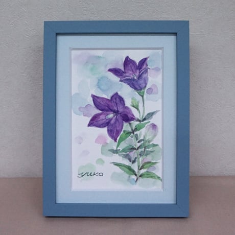 桔梗　6/25〜6/29発送不可❌ページ 楽天市場】桔梗 エキス加 ききょう 長倉製薬 単味粒状 100g 無