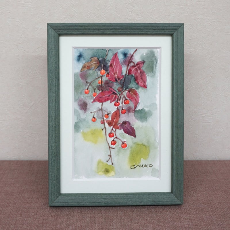 ヒヨドリジョウゴの赤い実 | 野の花のギャラリー