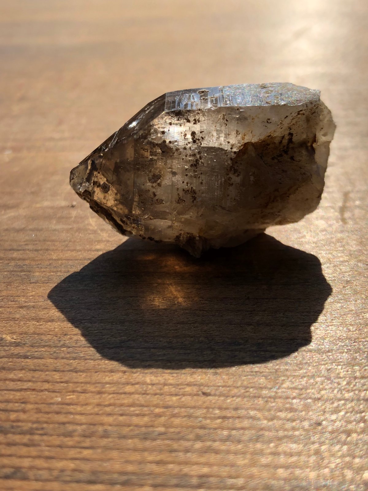 sisi.Teresa（宮崎県鹿川産スモーキークォーツ）【7】 | Crystal