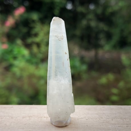 アクチノライト | STORES