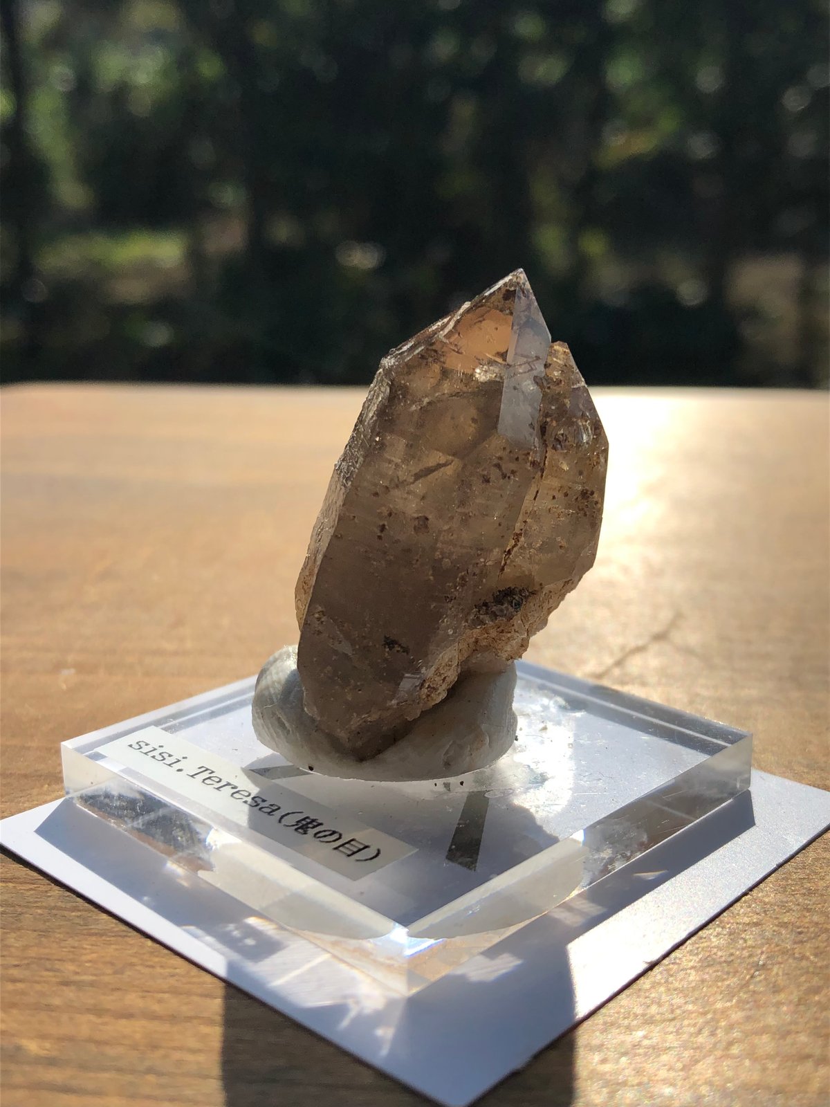 sisi.Teresa（宮崎県鹿川産スモーキークォーツ）【7】 | Crystal