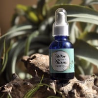 随便果 お得な2個セット ※箱無し梱包 | La Katy