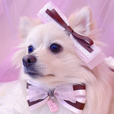 犬用リボン | STORES