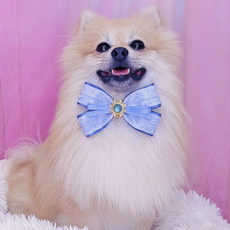 犬用リボン | STORES