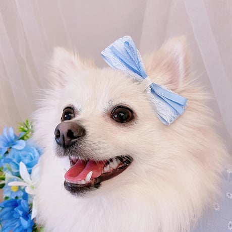 犬用リボン | STORES