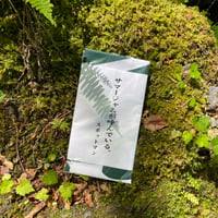 TENUGUI《スポマンサマージャム🏞️🏔️🎐》