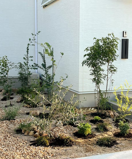出張造園・植栽 　ご自宅　ナチュラルロックガーデンアレンジver.