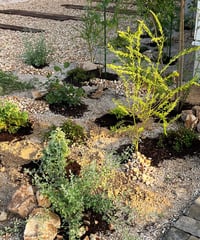出張造園・植栽 　ご自宅　ナチュラルロックガーデンアレンジver.