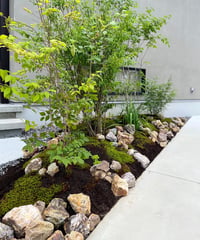出張造園・植栽 　ご自宅　ロックガーデンアレンジver.