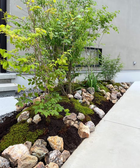 出張造園・植栽 　ご自宅　ロックガーデンアレンジver.