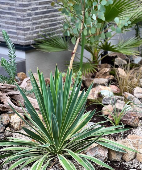 出張造園・植栽 　ご自宅　ドライガーデンアレンジver.