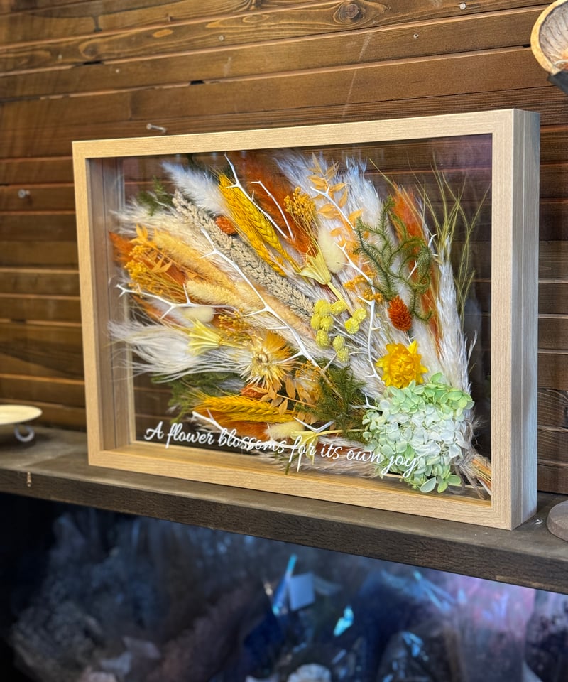 フレームアレンジLL ナチュラルフレーム | iolite online