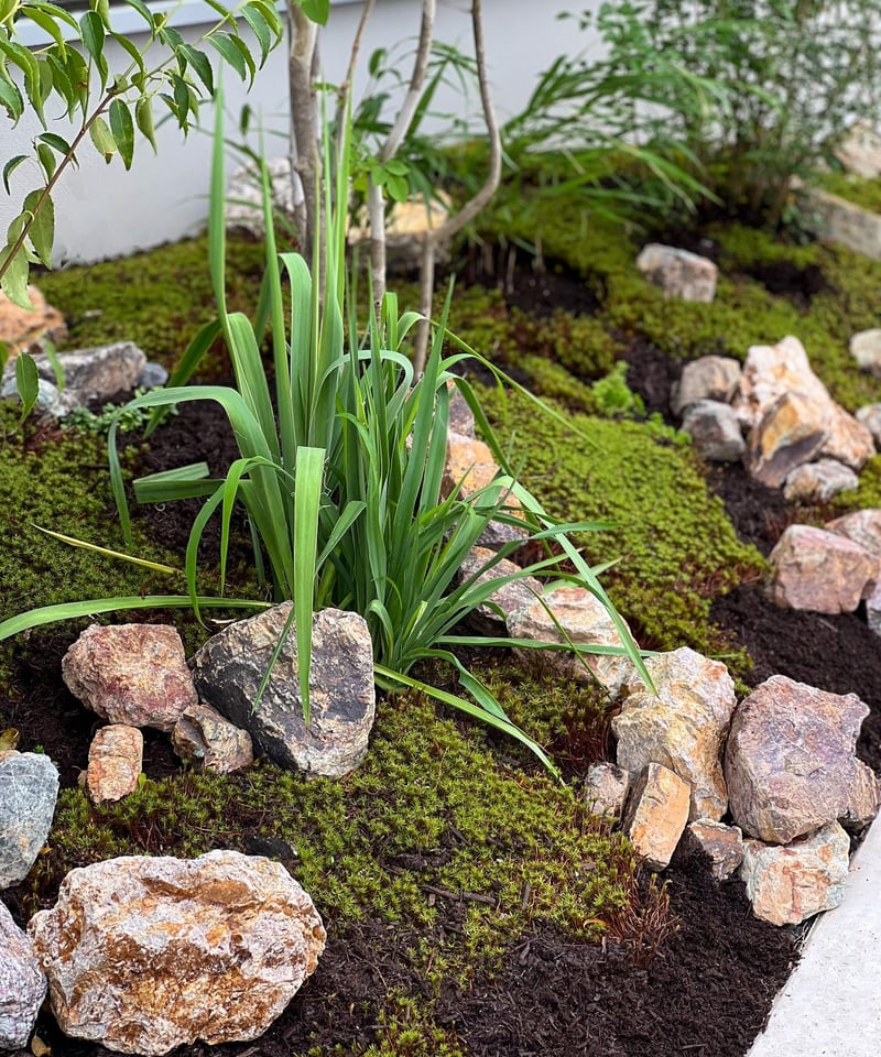 ガーデンアレンジ☆ 出張造園・植栽 ご自宅 ロックガーデンアレンジver. | iolite online