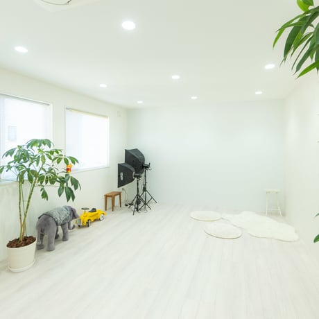 2面アルバム用スタジオ撮影オプション