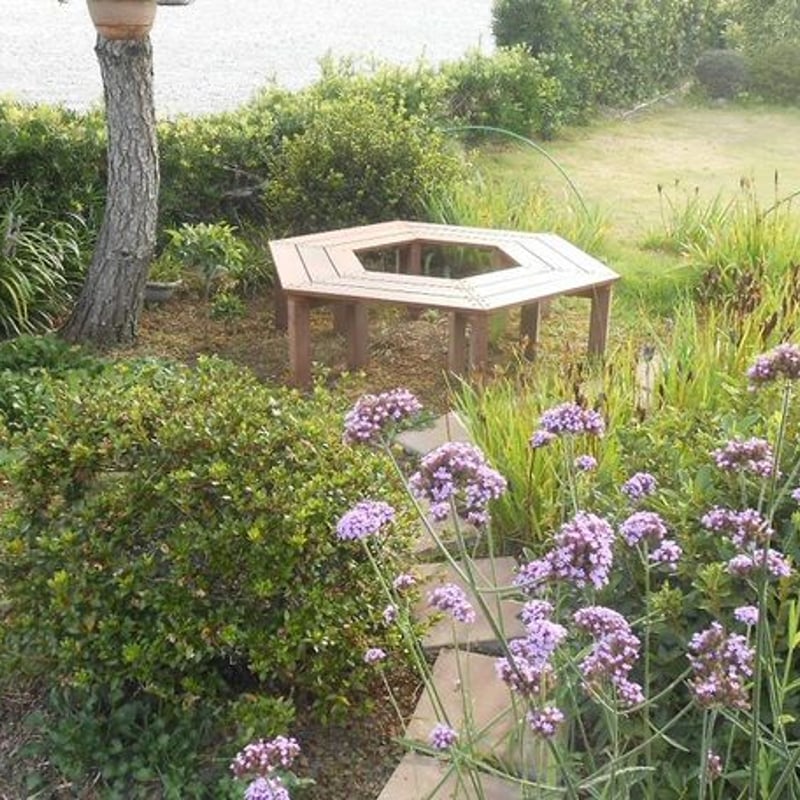 アントステラ　ベンチ アントステラオリジナル家具,テーブル/ベンチ | アントステラ