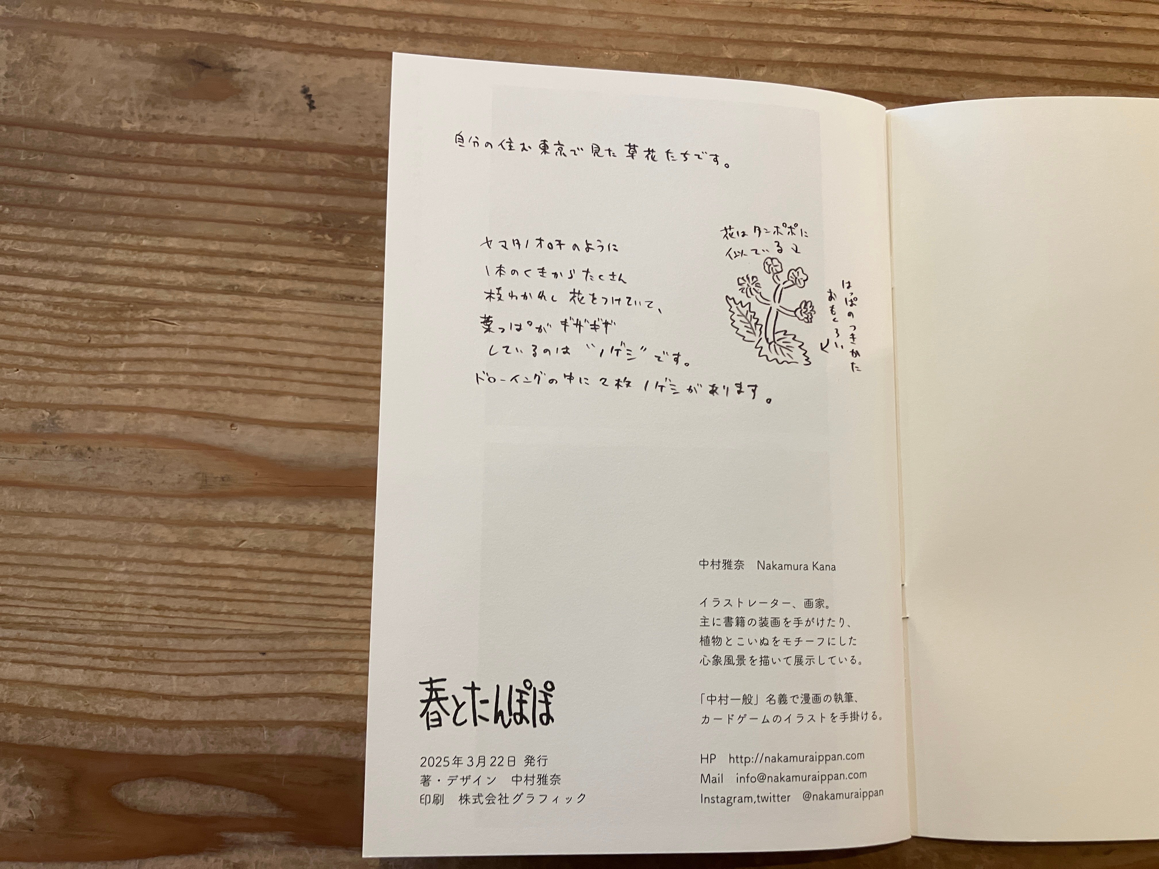 話題のポストイット画家『S.H.O 』　ROOM No. 1/1 サイン入り サイン入り》中村雅奈（中村一般）「春とたんぽぽ」 | 本・中川