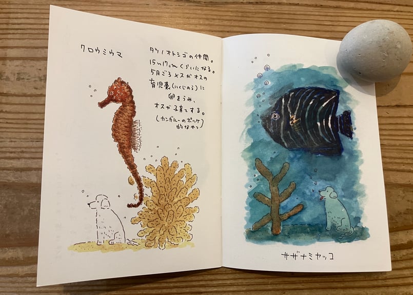 サイン入り》中村雅奈（中村一般）「奄美の魚たち」 | 本・中川