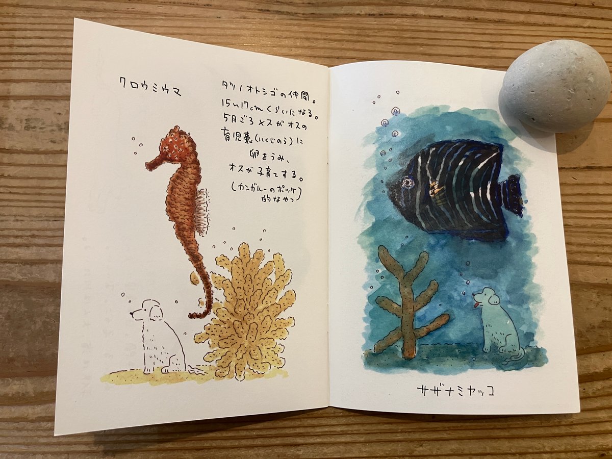 サイン入り》中村雅奈（中村一般）「奄美の魚たち」 | 本・中川