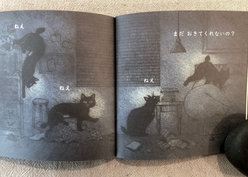 サイン入り》坂本千明「ねこのねえ」 | 本・中川