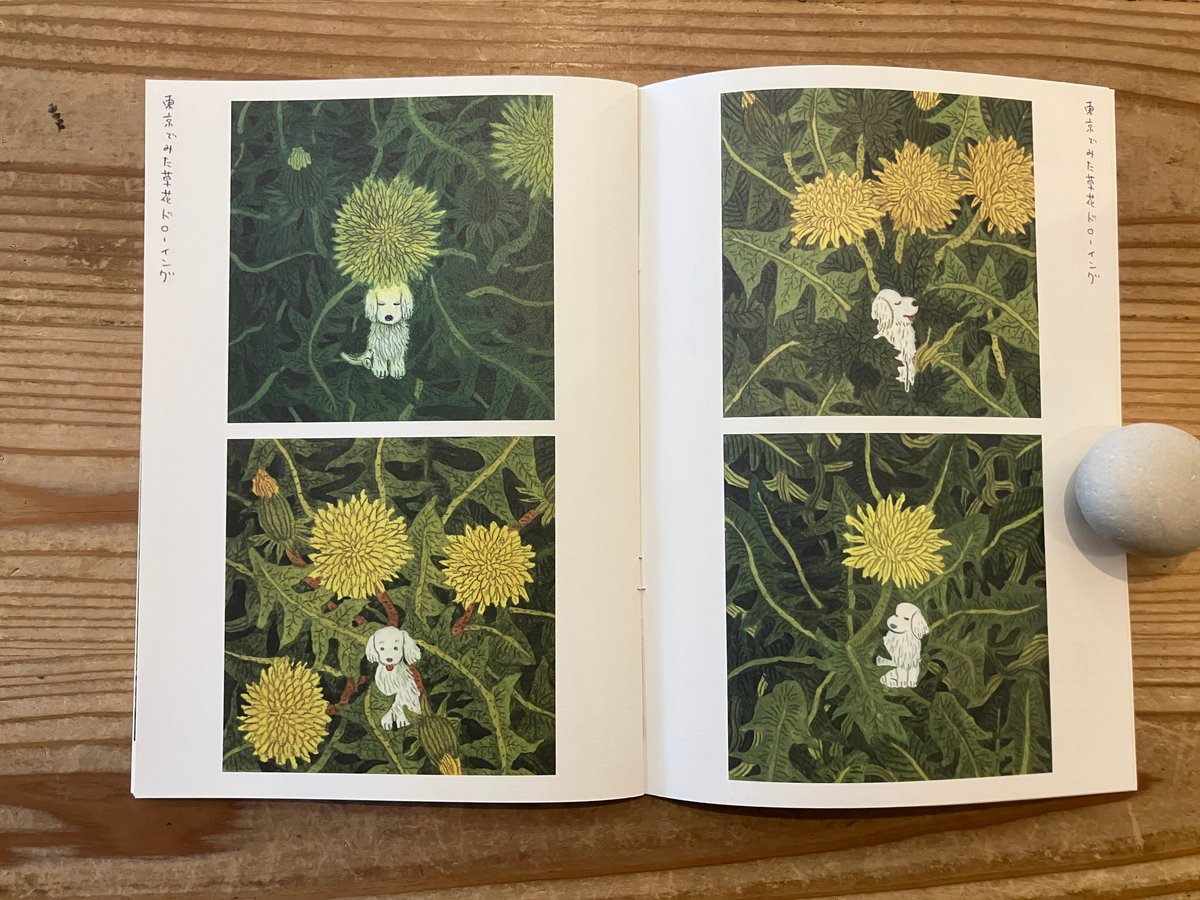 サイン入り》中村雅奈（中村一般）「春とたんぽぽ」 | 本・中川