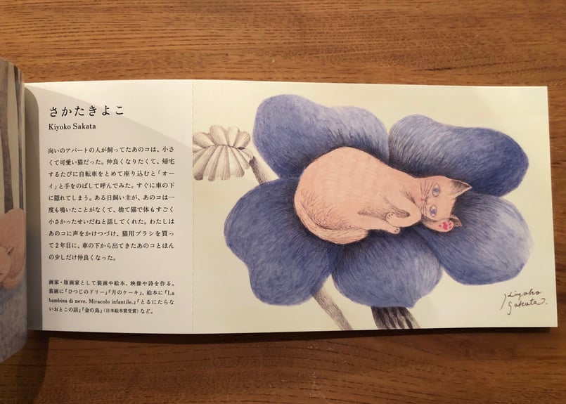 ねこ100テン ポストカードブック | 本・中川