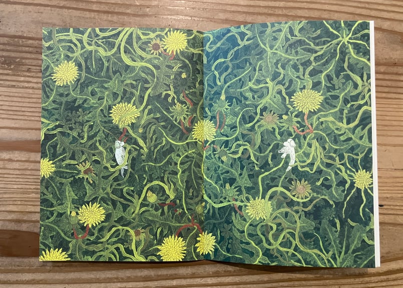 サイン入り》中村雅奈（中村一般）「春とたんぽぽ」 | 本・中川