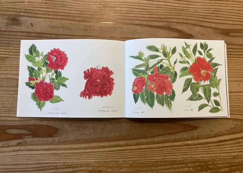 サイン入り》中村雅奈（中村一般）「まもりばな」 | 本・中川