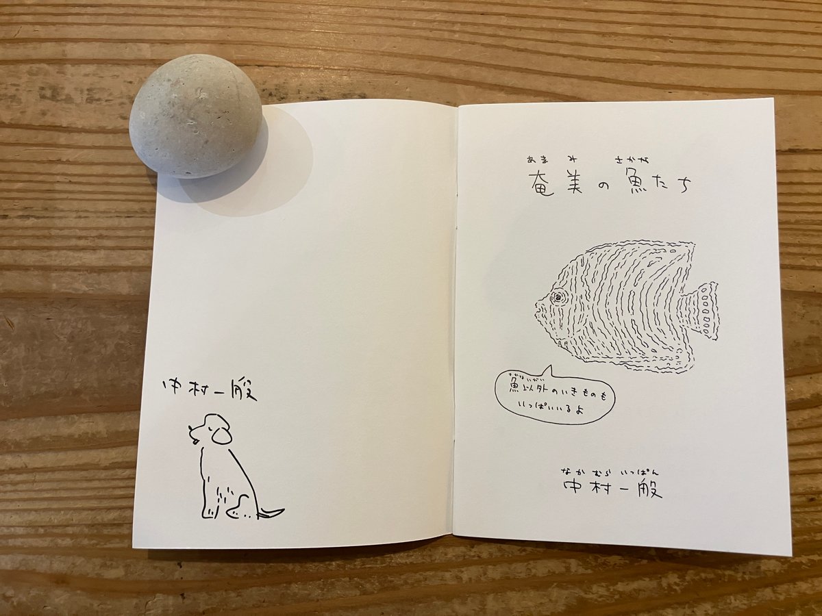 サイン入り》中村雅奈（中村一般）「奄美の魚たち」 | 本・中川