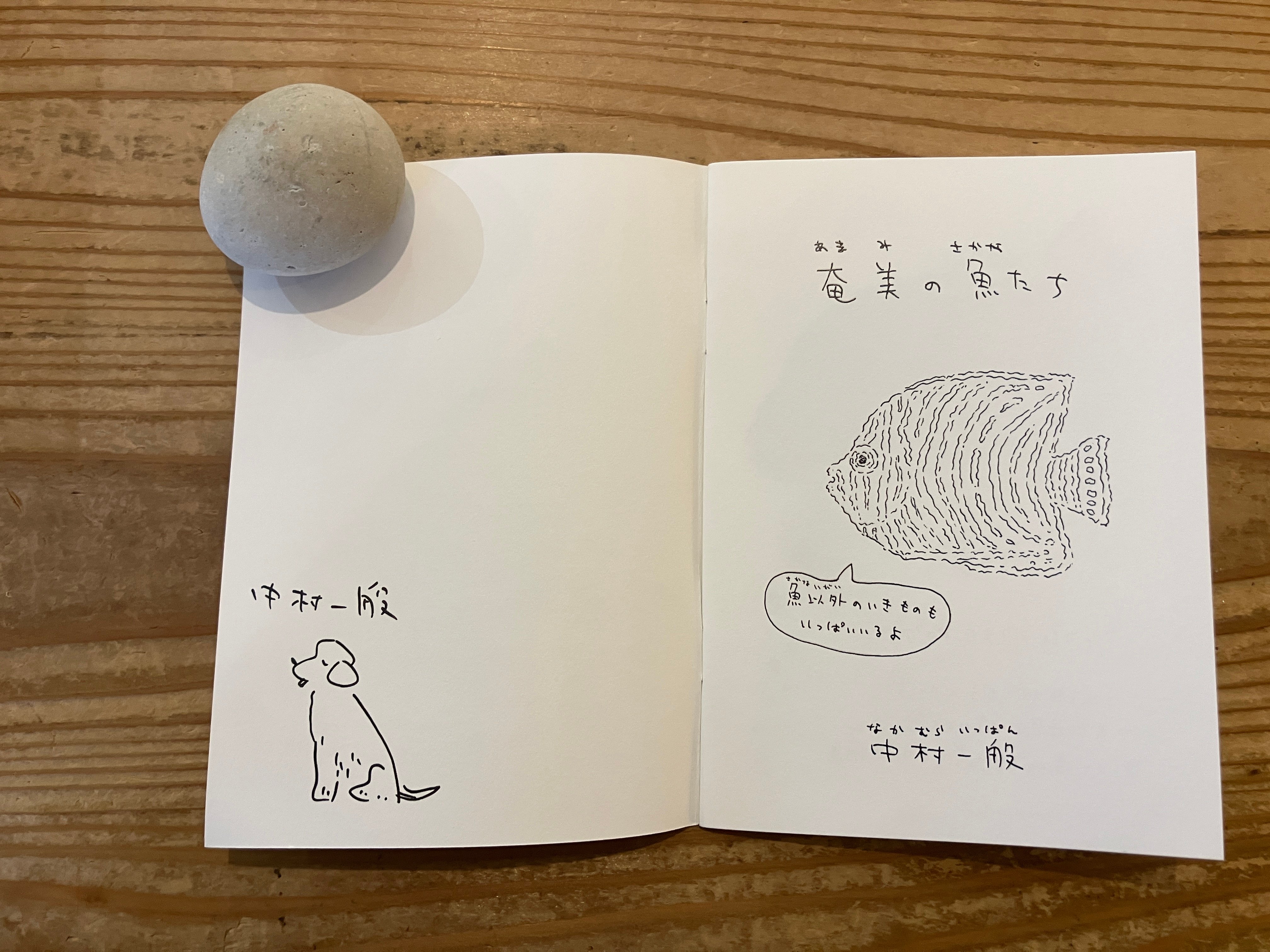 サイン入り》中村雅奈（中村一般）「奄美の魚たち」 | 本・中川