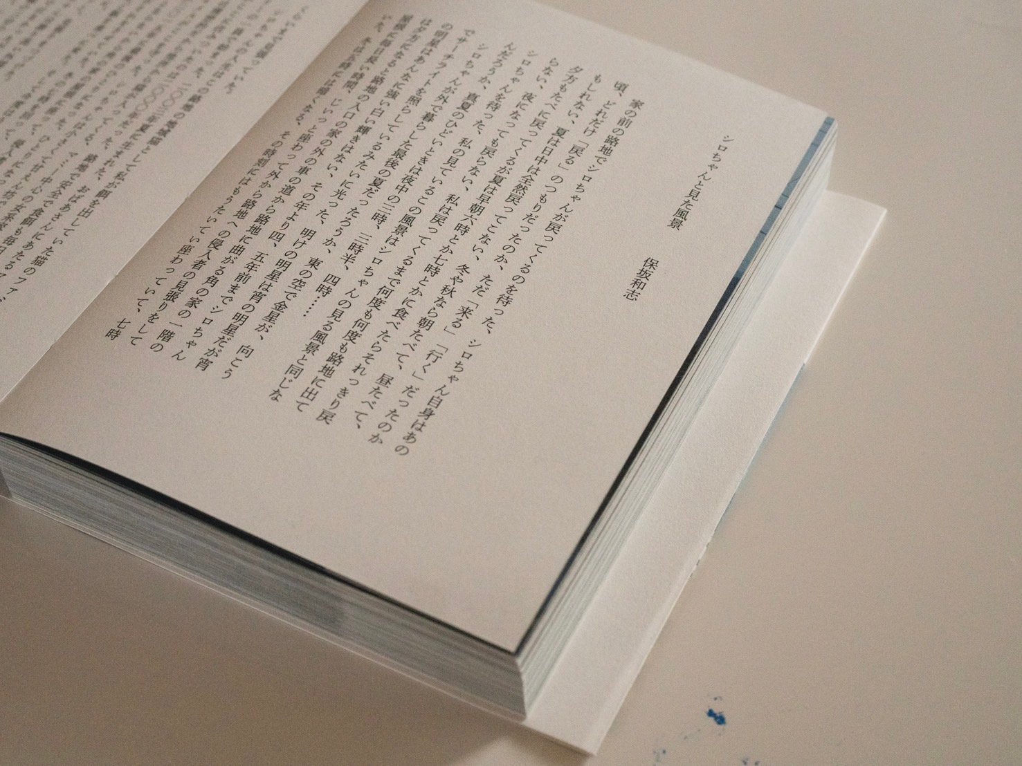 サイン入り》佐内正史 写真集「写真がいってかえってきた」 | 本・中川