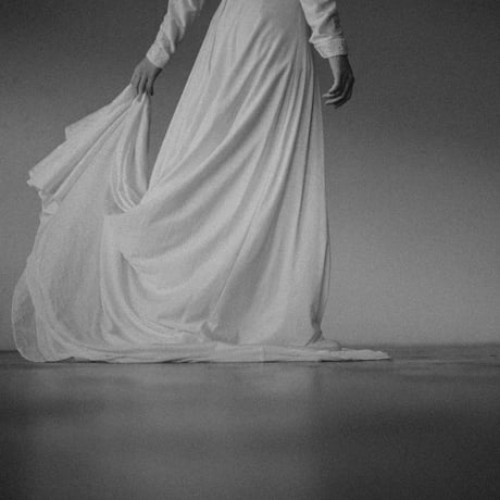 【RENTAL】Long train high neck dress