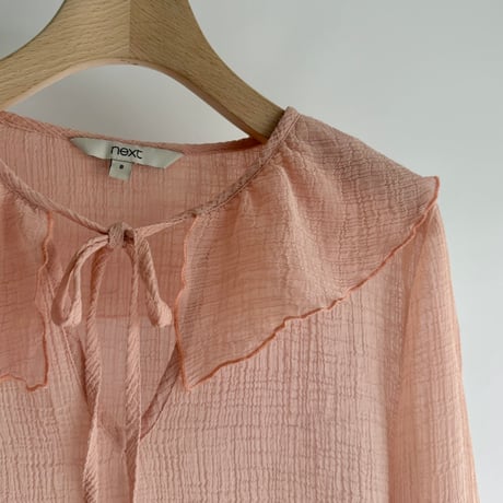 Sheer frill blouse