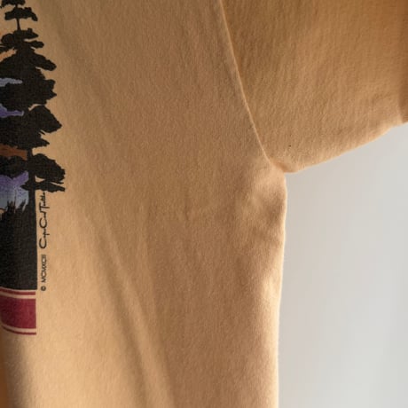 Mountain orange T-shirt