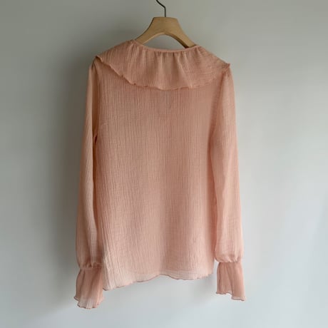 Sheer frill blouse