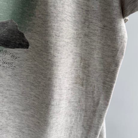 Tiger T-shirt