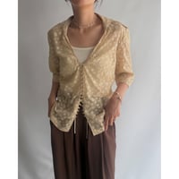 Dot sheer lame tops