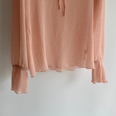 Sheer frill blouse