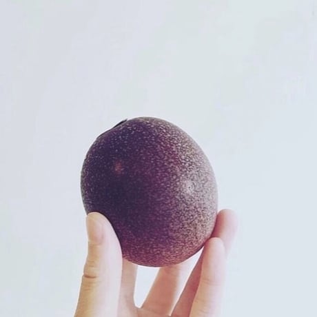 8月トロピカルアソート袋入りクッキー