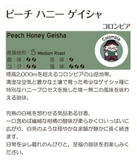 ピーチハニーゲイシャ(コロンビア産) (豆)
