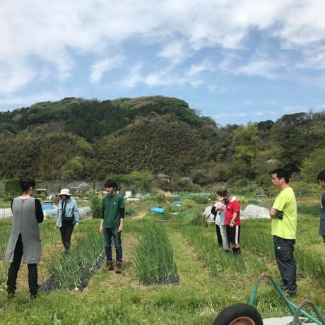 VEGICRA 葉山野菜のクラッカー 3種ギフトBOX