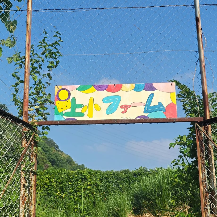6976191afe1d6b2b6b35ab23
