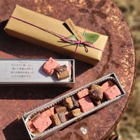 ひとつまみキューブ スパイス塩チョコ＆ビーツカカオニブ 2種缶入り（グルテンフリー）＊母の日まで販売延長決定！~5/10到着まで