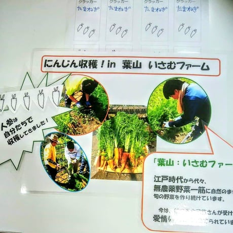 VEGICRA 葉山 野菜のクラッカー（人参＋アーモンド）