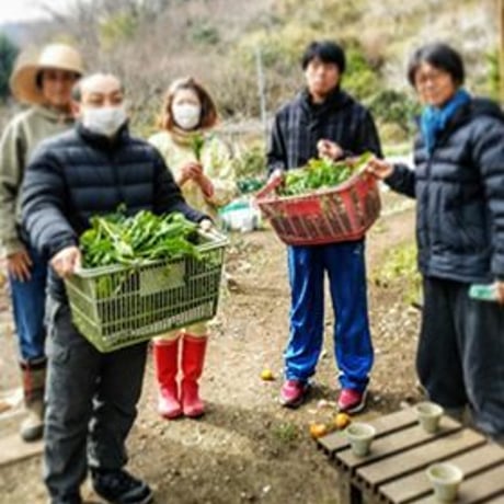 VEGICRA 葉山 野菜のクラッカー（ほうれん草＋カシューナッツ）