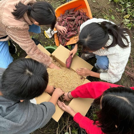 ザク米も＆サクっ米も 小学6年生と地域の大人が本気で作った お米のサブレ〈グルテンフリー〉2種箱入り