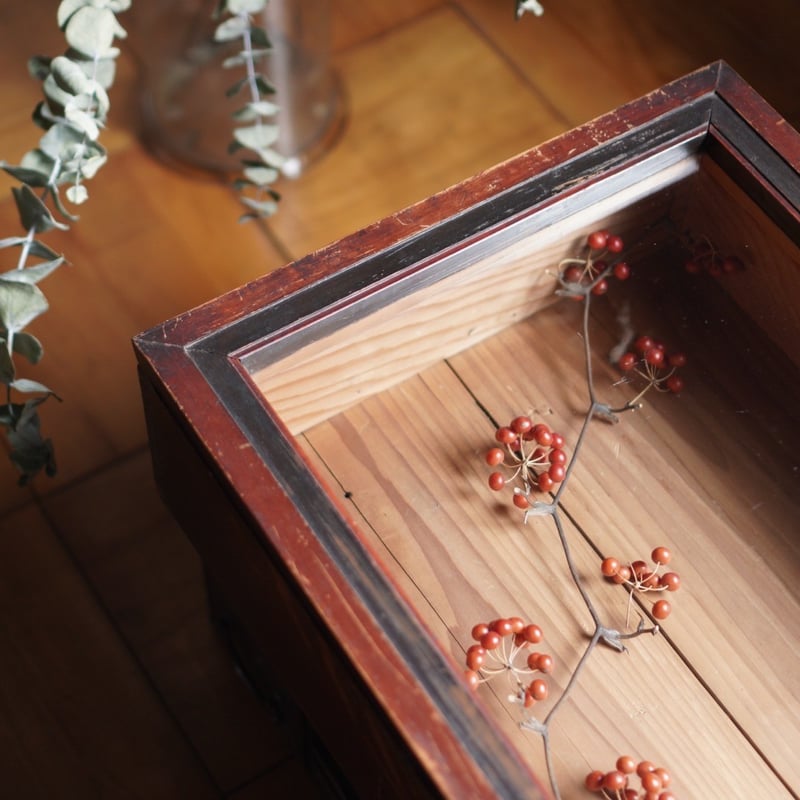 古いガラス扉の箱 木製 ディスプレイ コレクション ケース 古道具