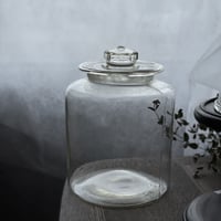 デミジョンボトル ガラス瓶 花瓶 ガラス インテリア フラワーベース