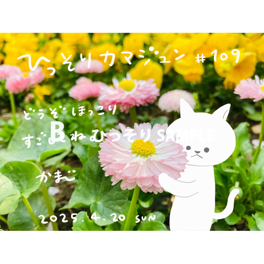 5ea81a2d72b911075c904d90