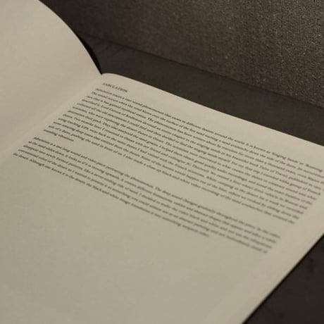 JACOB KIRKEGAARD  /  SABULATION