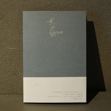 星形の庭 / 距離を含んだ色彩について